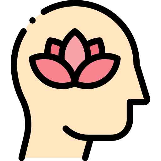 Wellness Spa